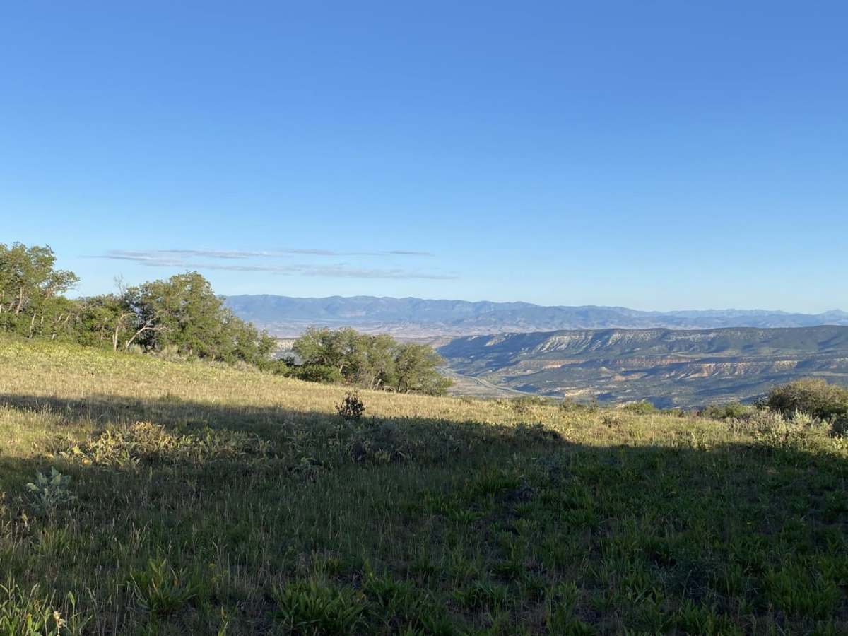 Oak Ridge Trail photo 4