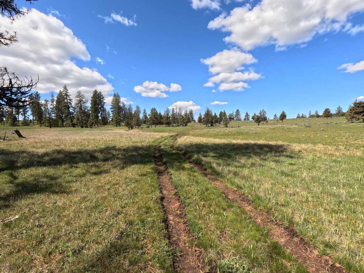 Trail 70 photo 4