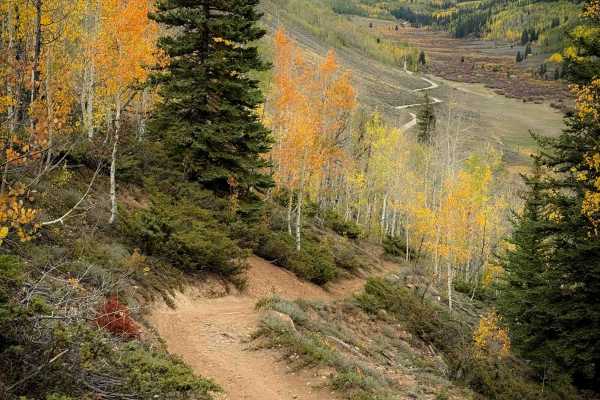 Warm Springs Trail 406 