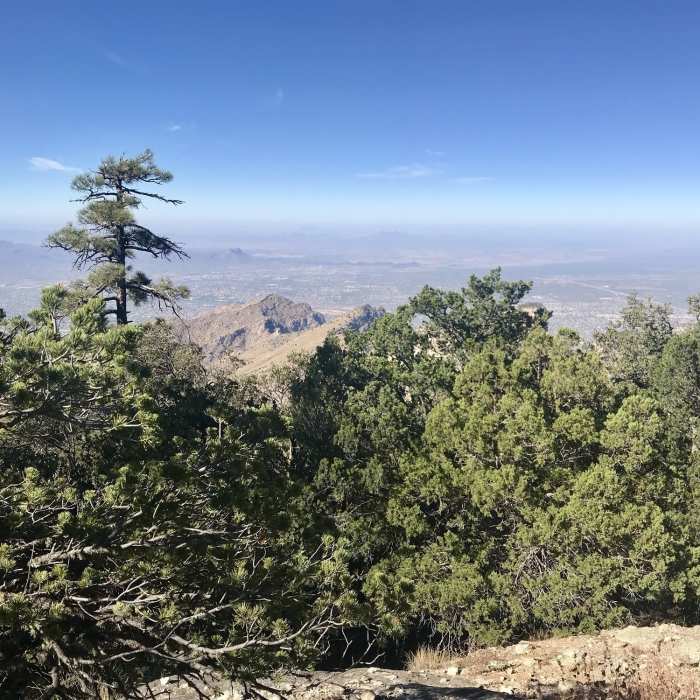 Near Mount Kimball Out-and-Back