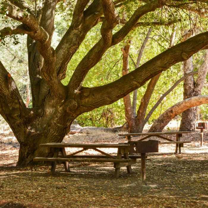 Near Serpentine Trail