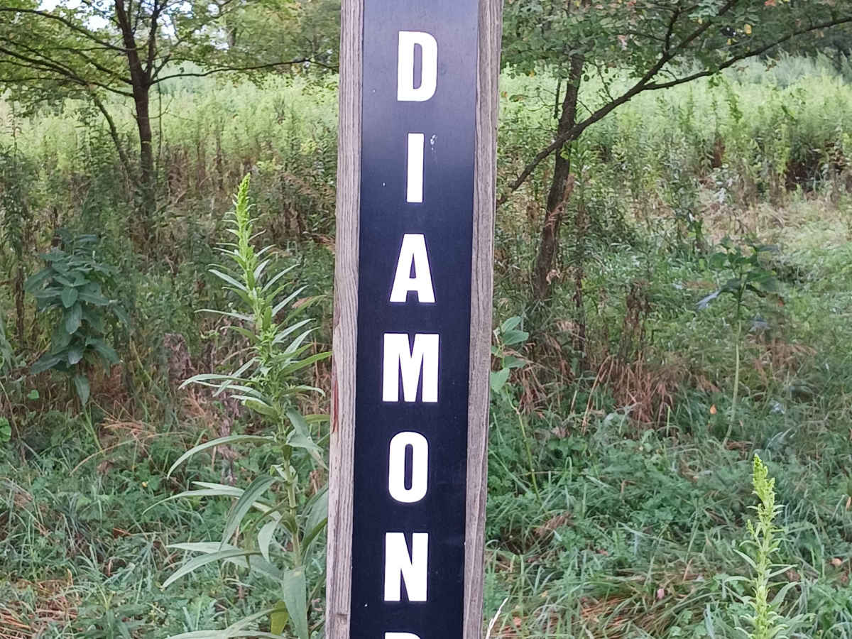 Black Diamond - Rock Run Recreation Area trail photo