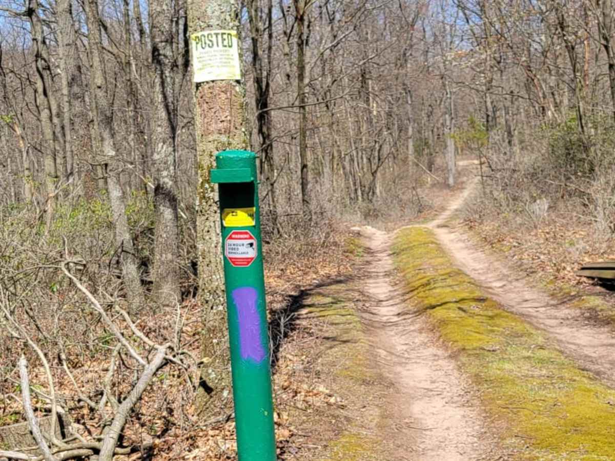 West Longfellow Trail photo 2