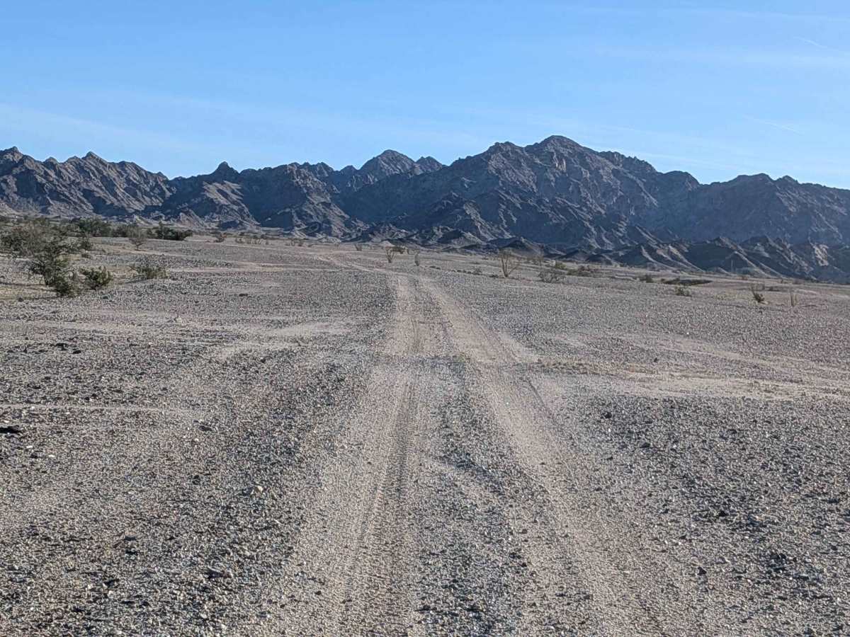 BLM 801 photo 2