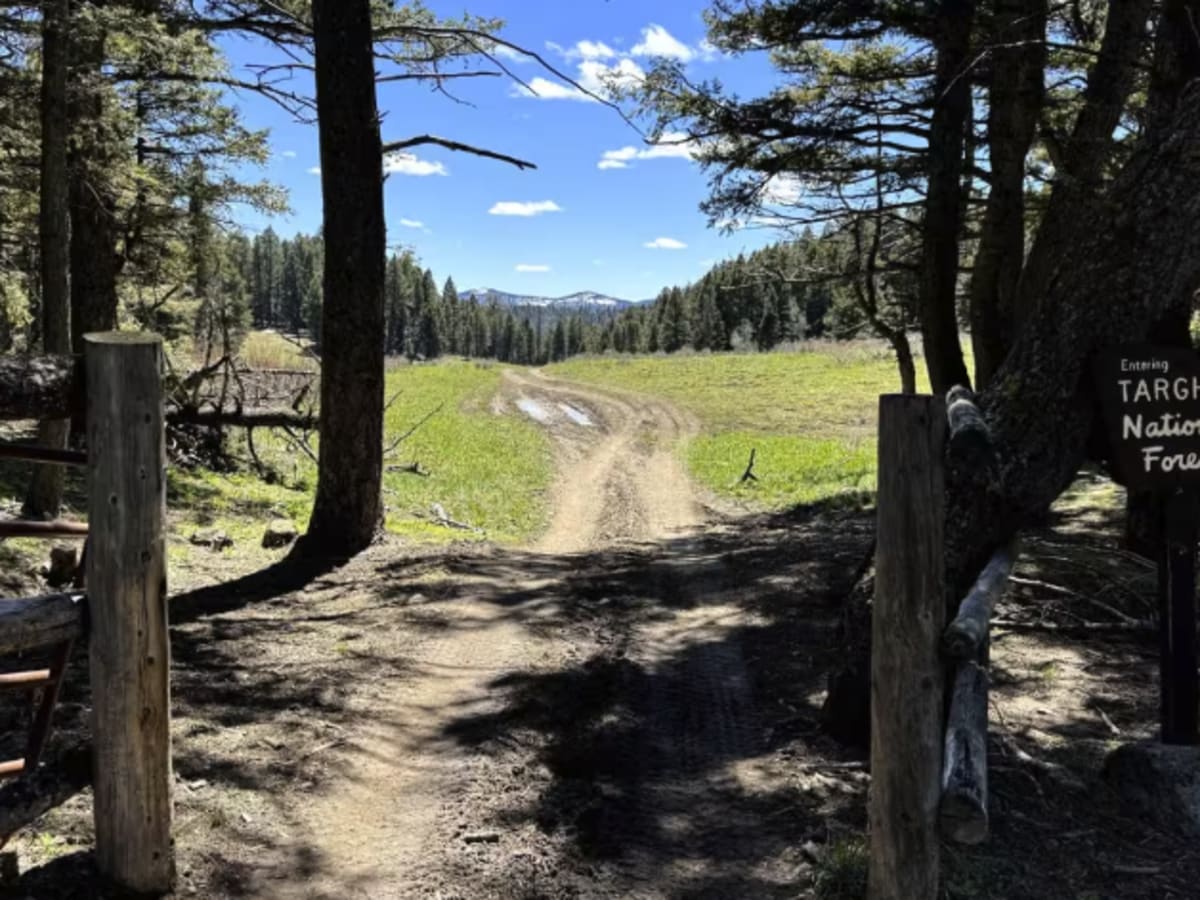 Pete Creek Trail photo 4