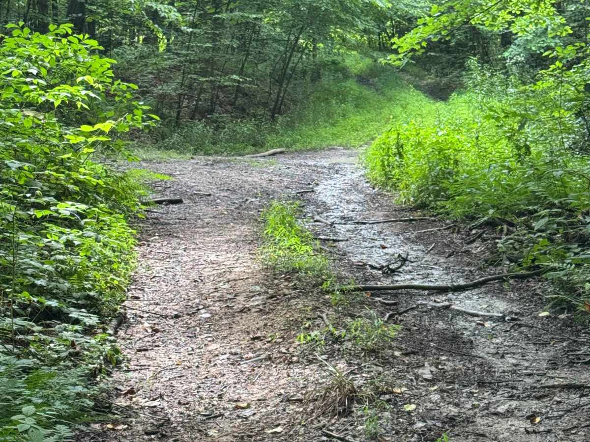 Trail 70 photo 5