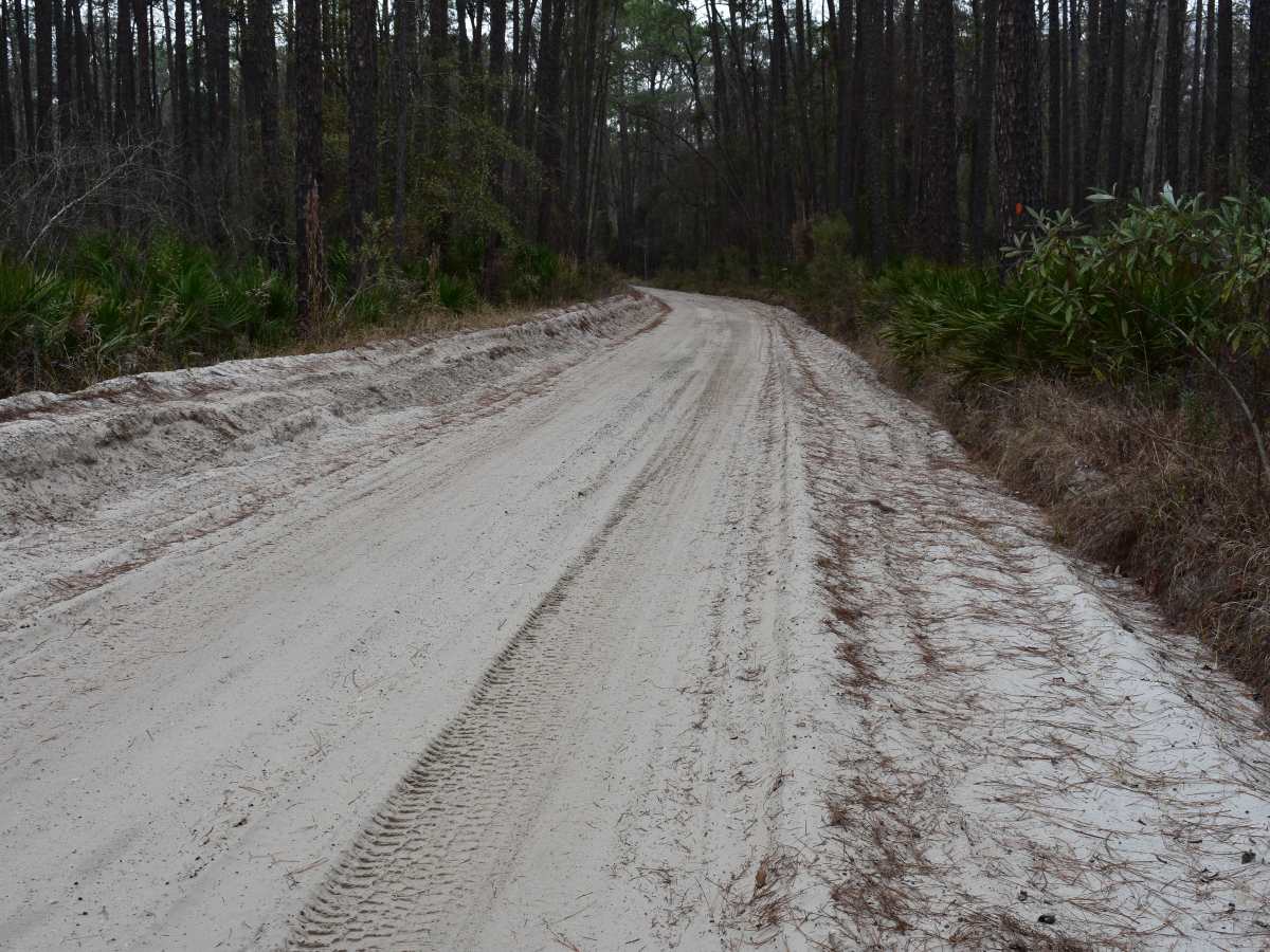 Elijah Dobson Road photo 3