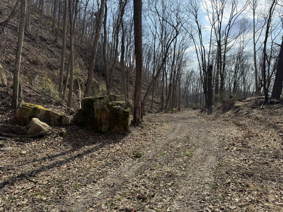 Q20 trail photo
