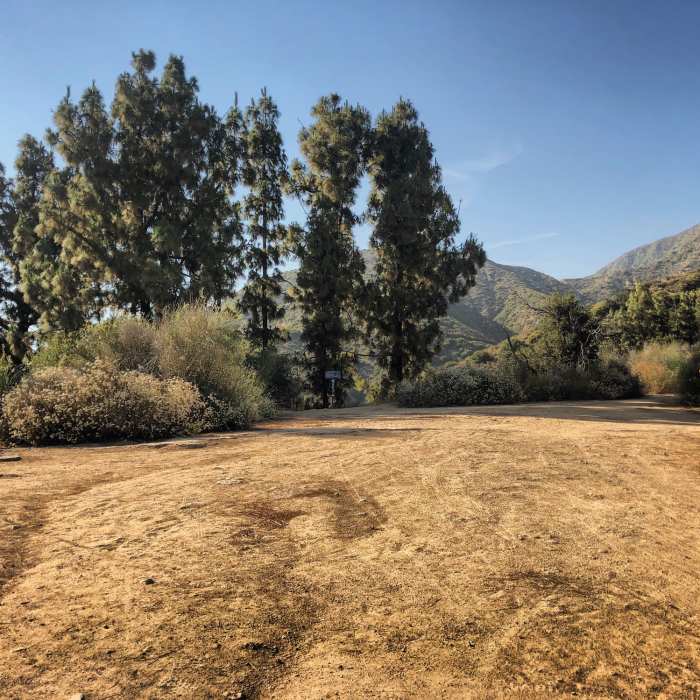 Brown Mountain Saddle looking north Near El Prieto to Brown Mountain Loop