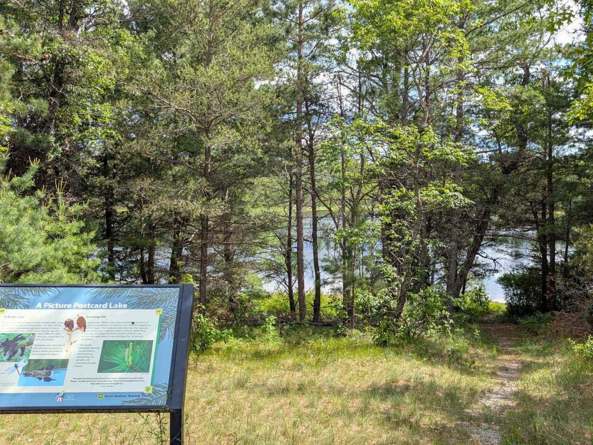 O'Brien Lake Road - FS 4061 photo 3