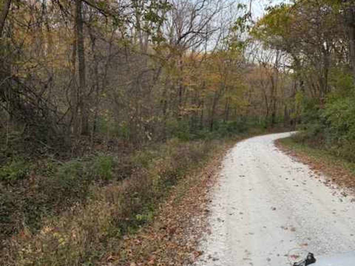 Olive Branch Road photo 4