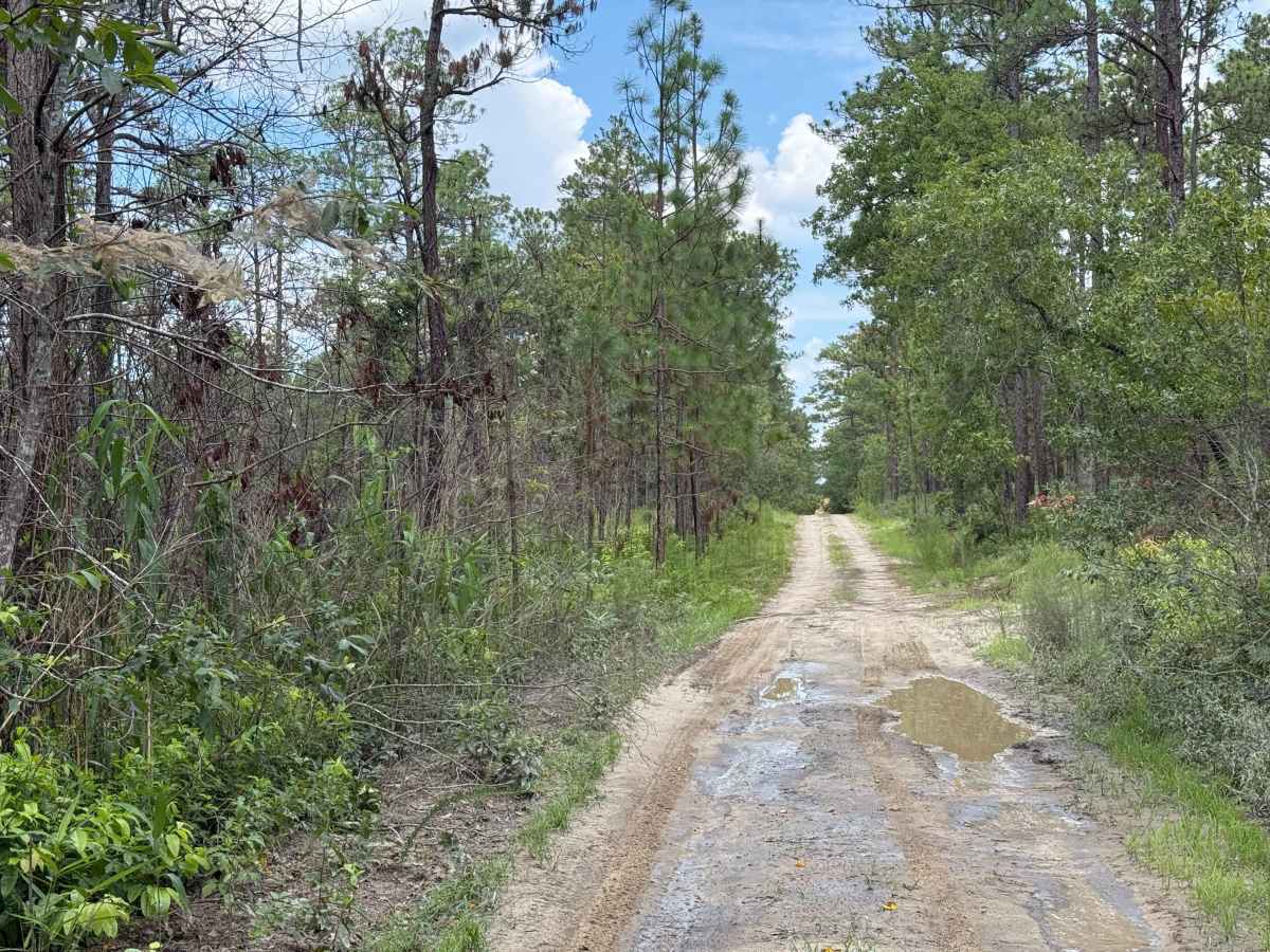 Deaton Lane photo 3