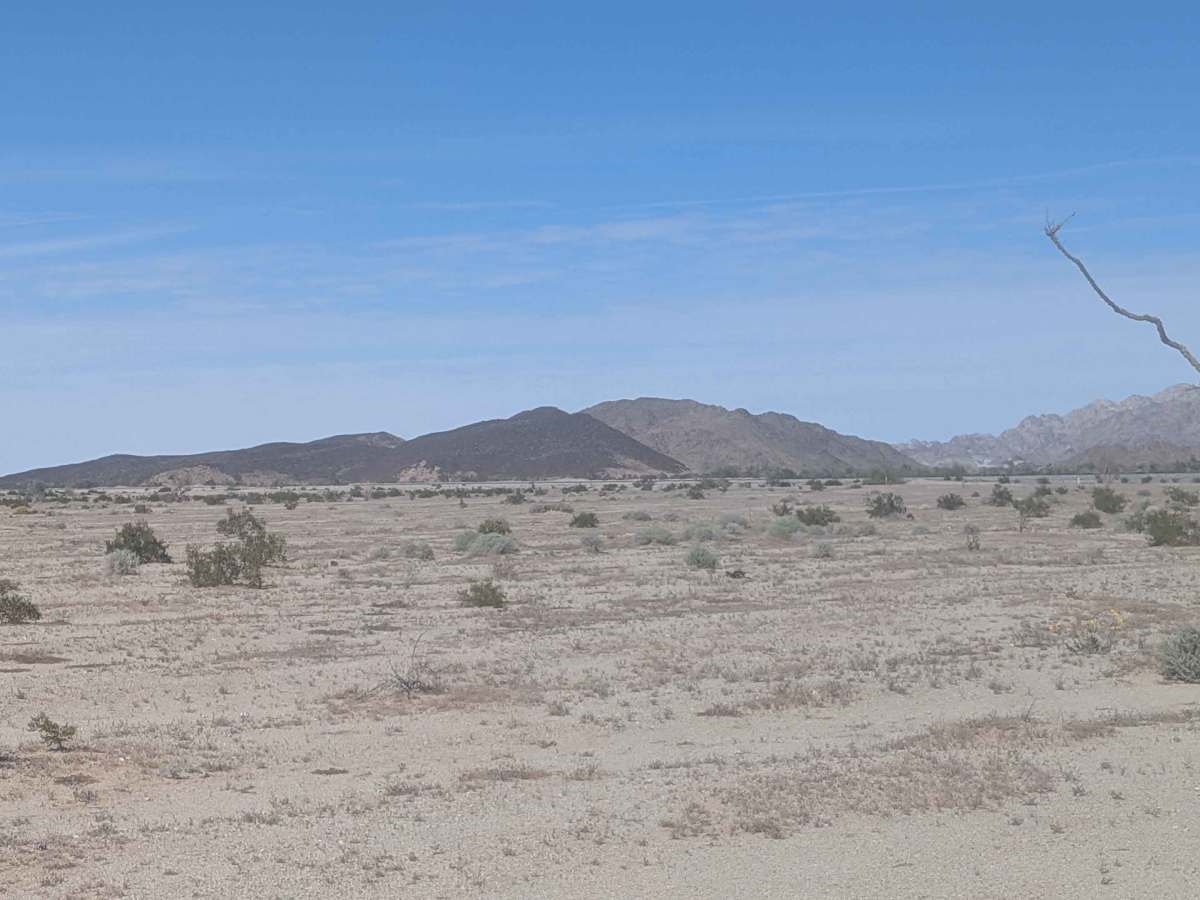 BLM 920 photo 4