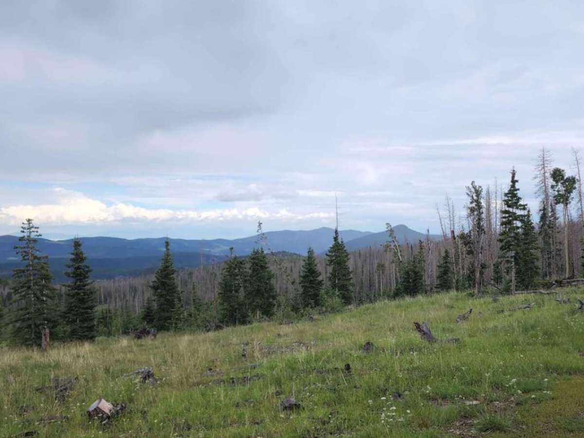 Lookout Mountain photo 6
