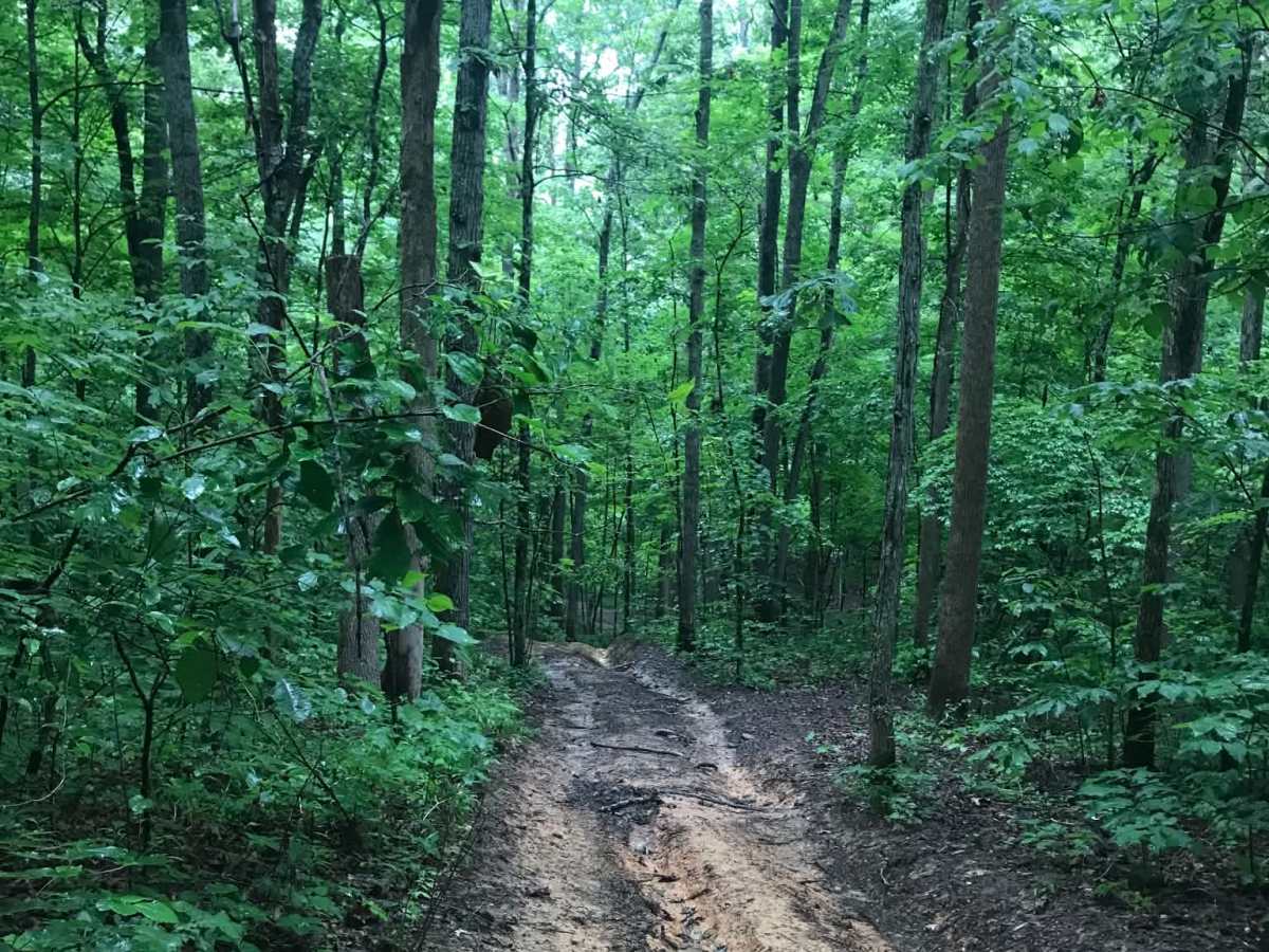 Vernon-Painter Creek Road trail photo