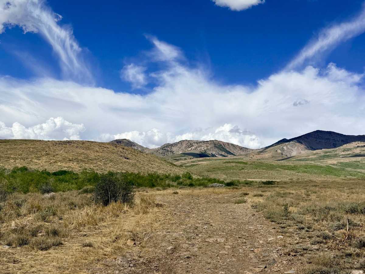 North Fork Pratt Extension - FS 56158B photo 4