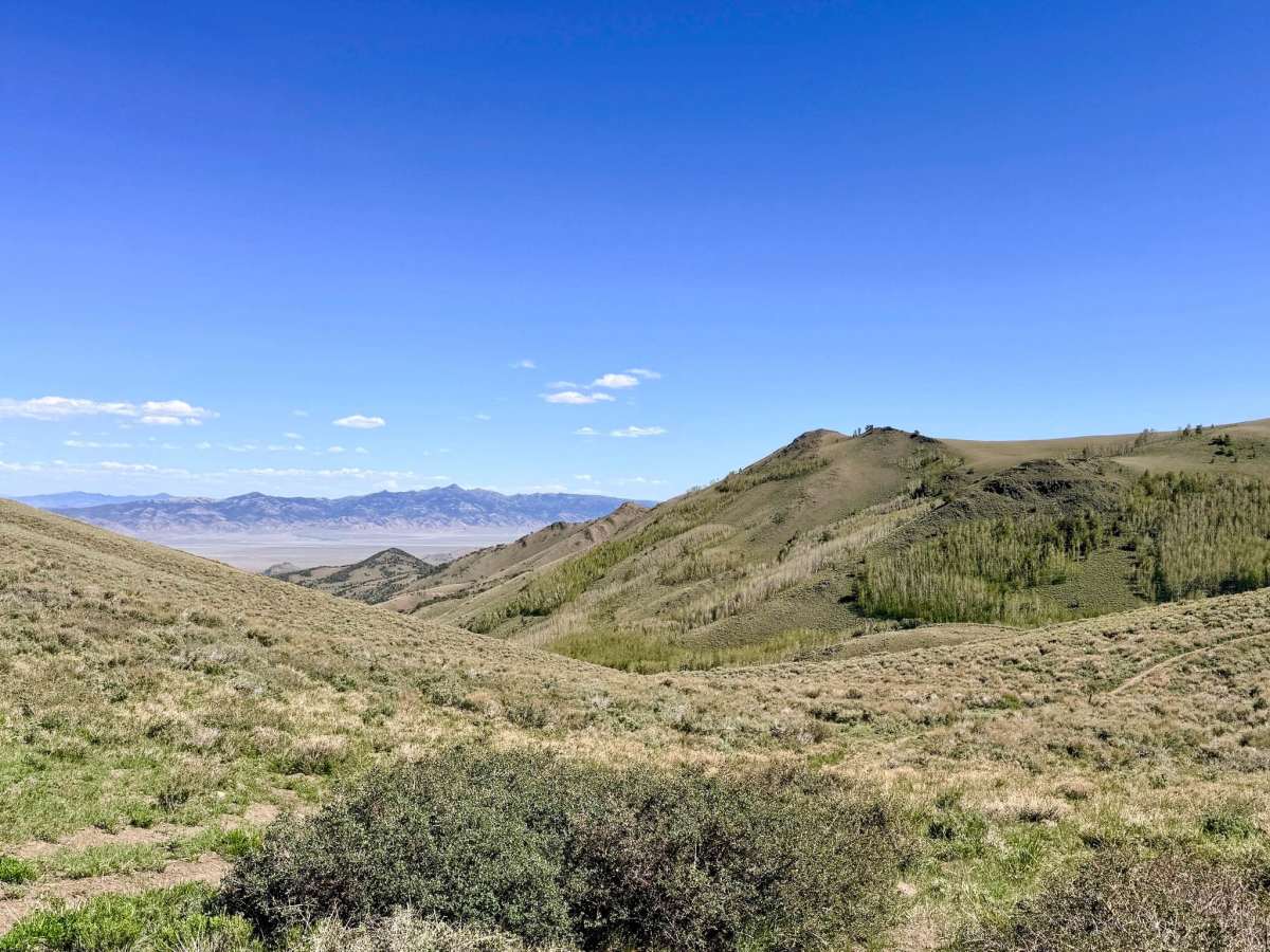 North Fork Allison Creek FS43515 photo 4