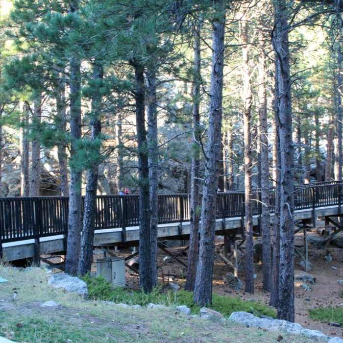 Near Presidential Trail