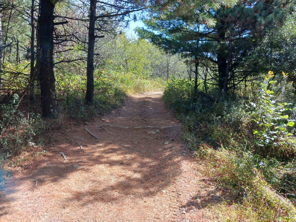 Trail 5D - Rock Run Recreation Area trail photo