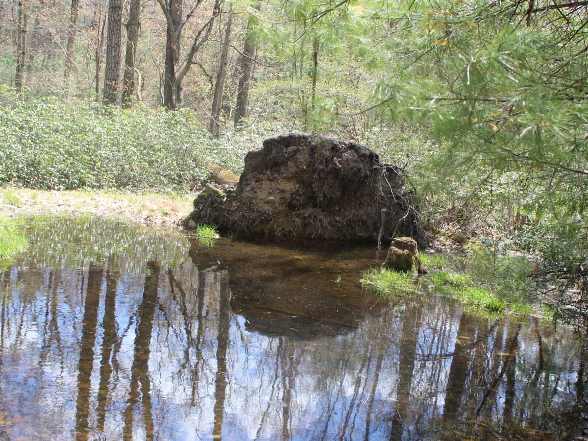 Old Sand Mountain Road photo 3