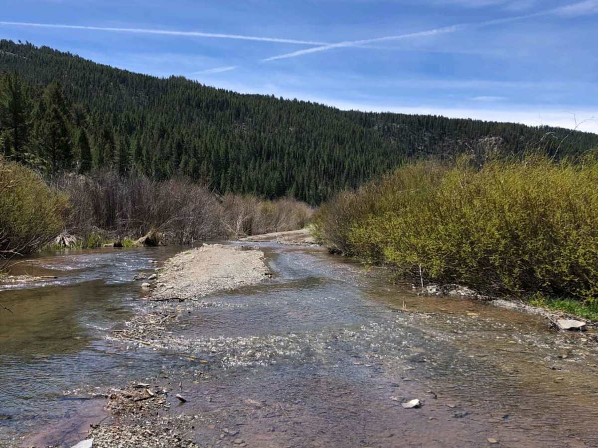 Hobble Creek photo 5