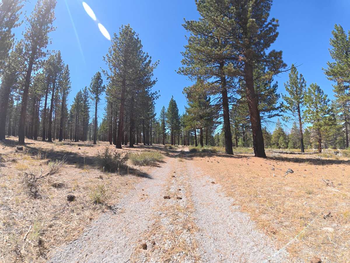 Old Rail Cutoff photo 2