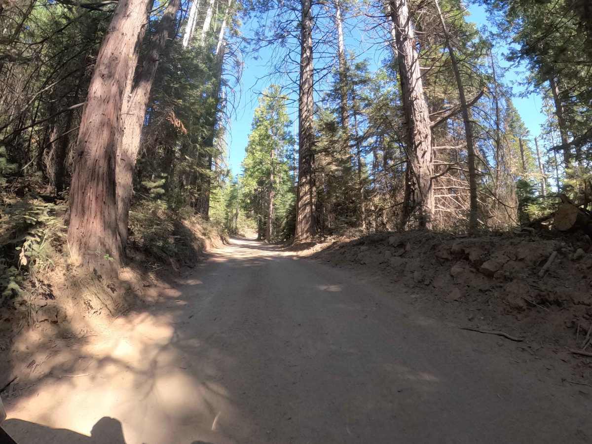 Bluff Road - FS 6S011X photo 4