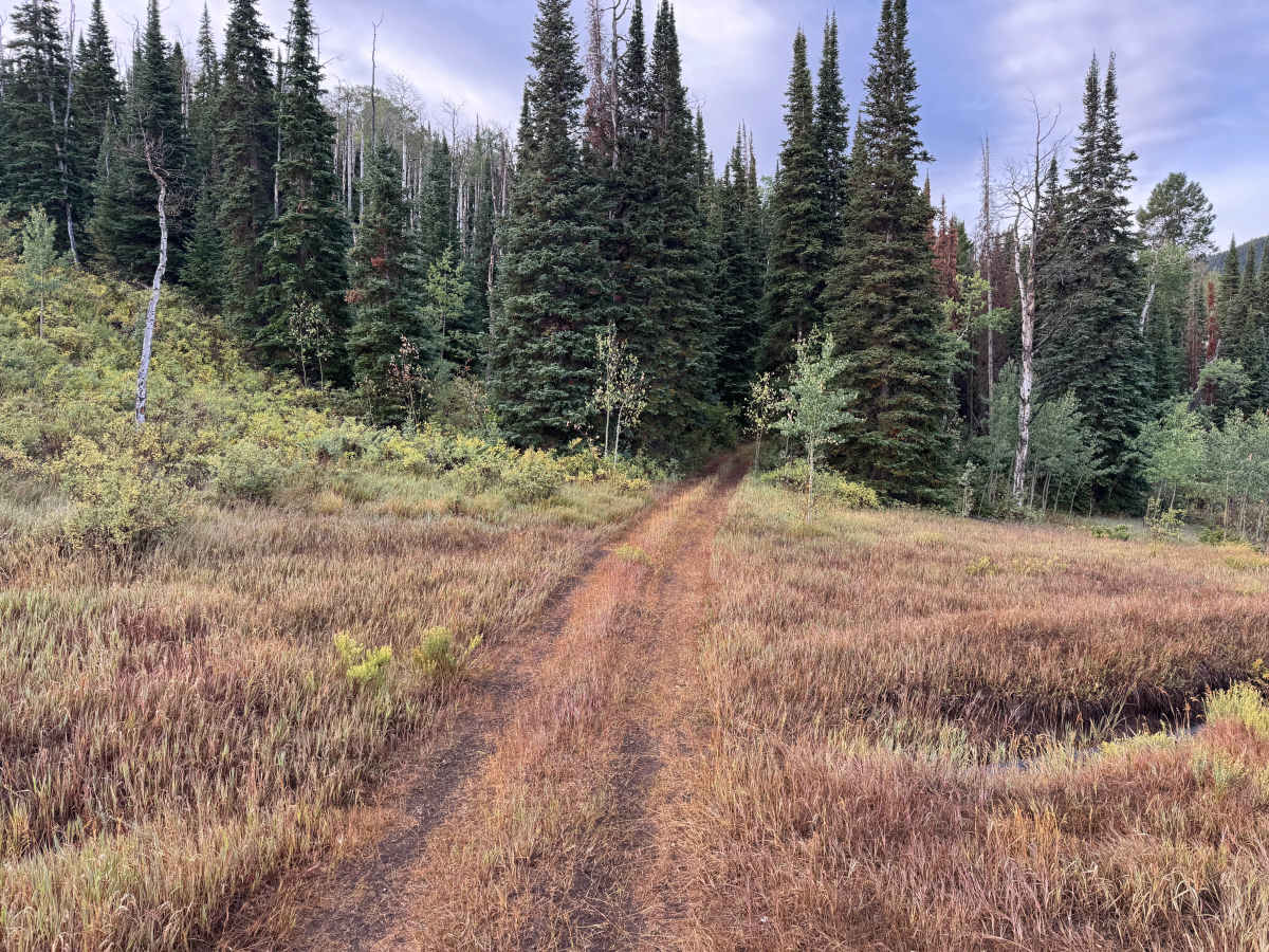 Meredith Trail photo 2