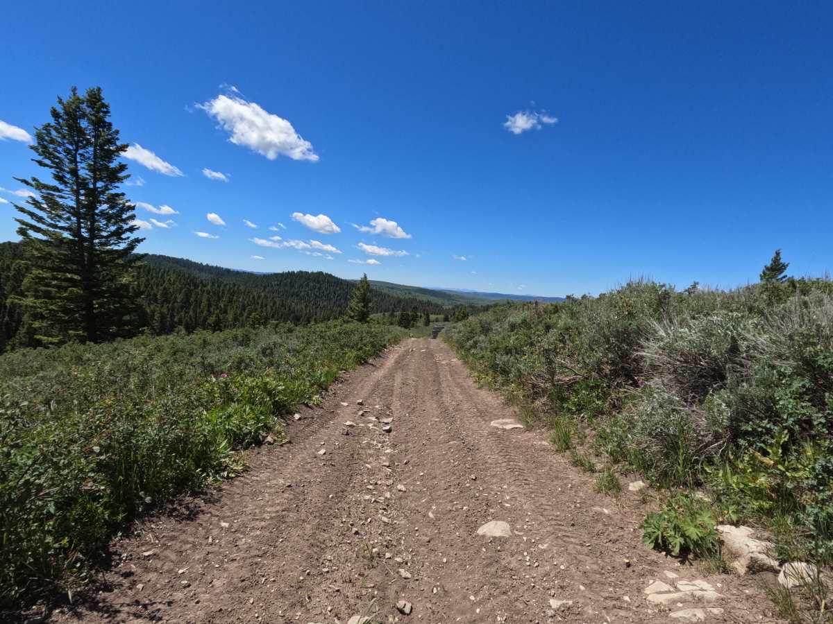 South Fork Lava Creek photo 3