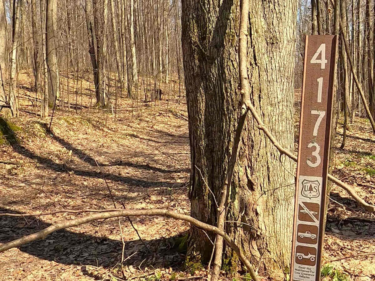 FS 4173 trail photo