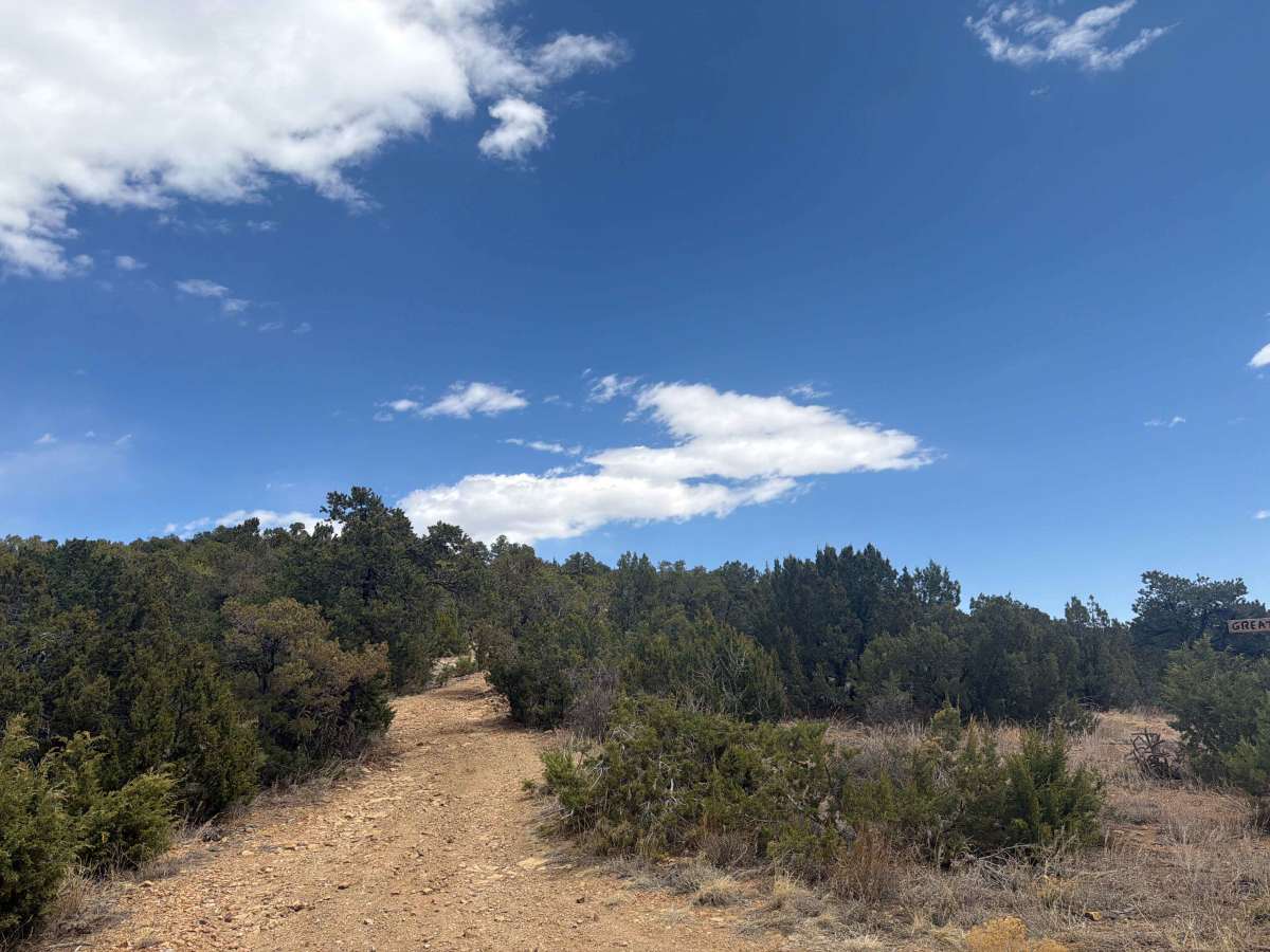 BLM 6182 trail photo