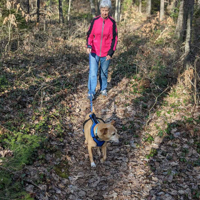Near Lost Twin Lakes Pathway