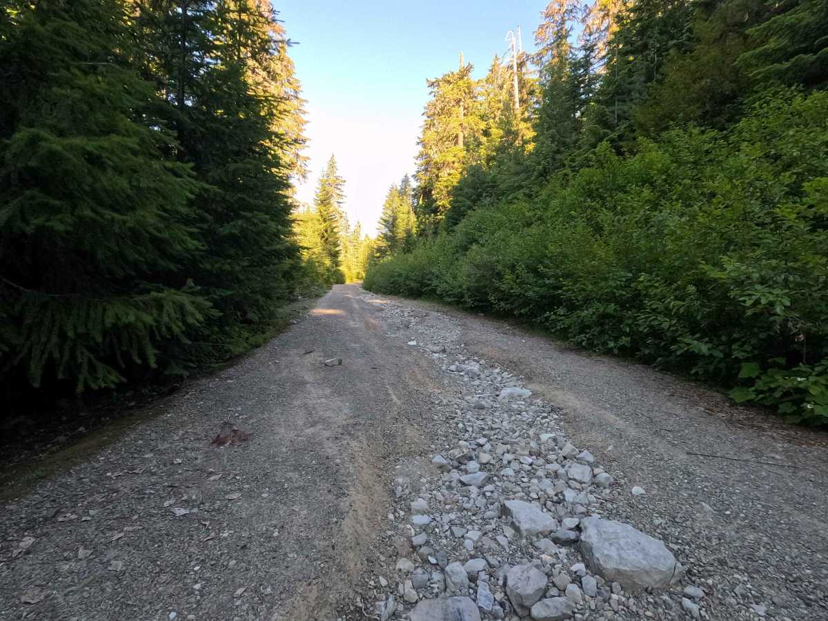 Stave Creek - FS 4613 photo 3