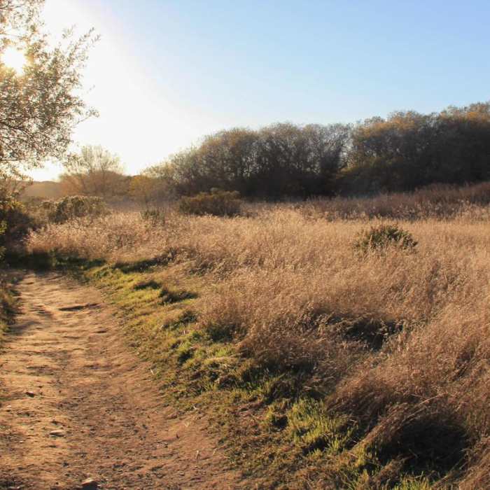 Near Beach Trail Near Beach Trail