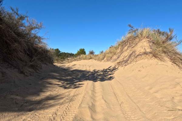 Bark OHV Trail - 1342
