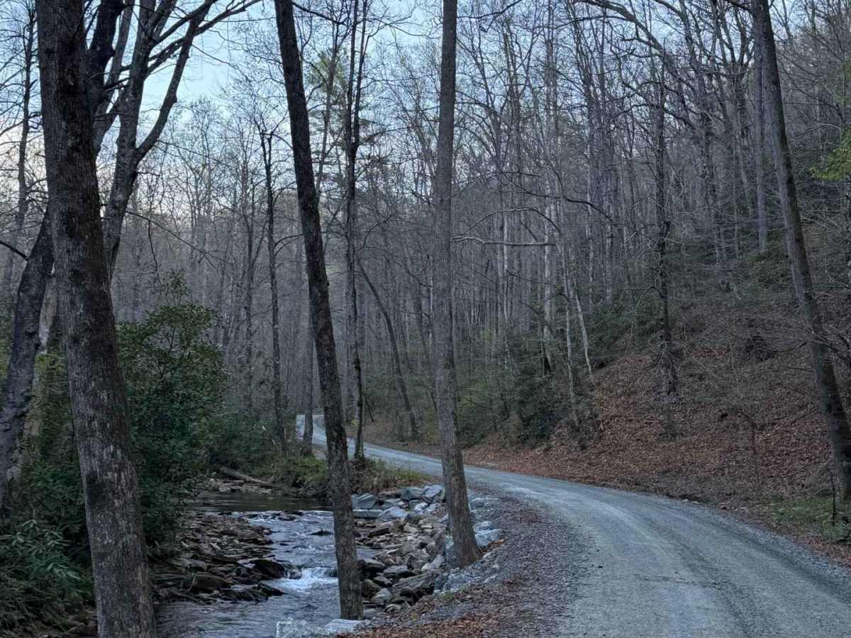 Avery Creek - FS 477 trail photo