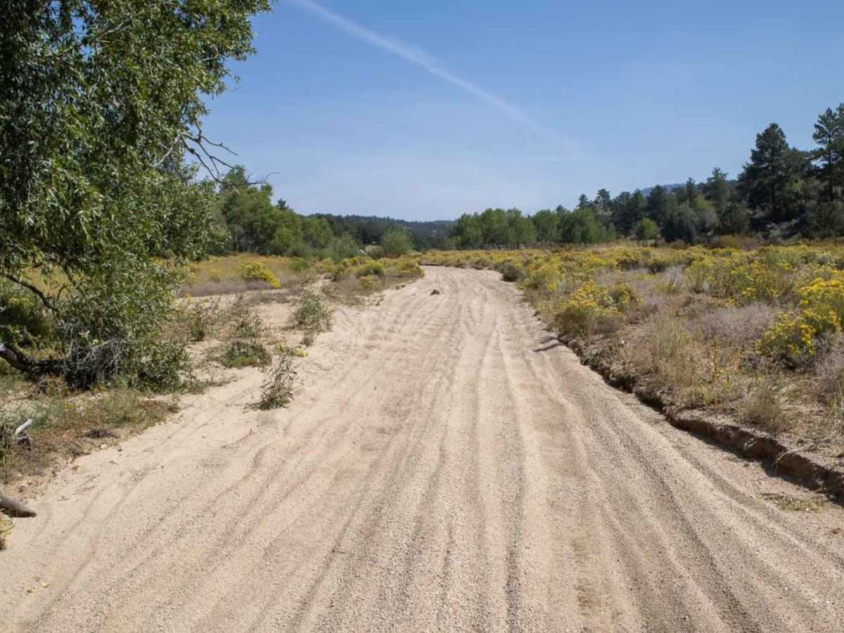 Arnold Gulch photo 2