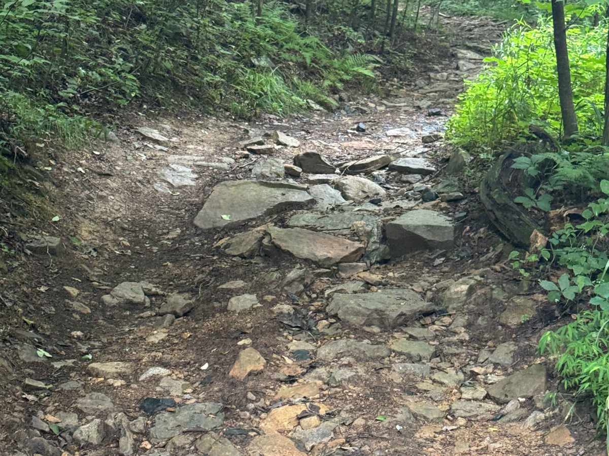 Trail 67 photo 5