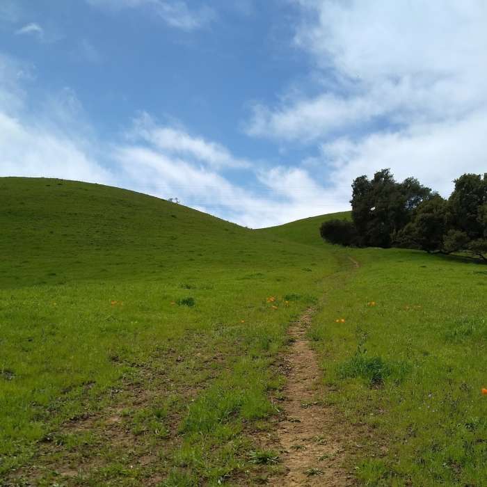 Near Bay Area Ridge Trail: Joseph D. Grant County Park