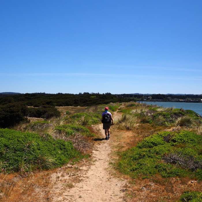 Near Bullards Beach Loop