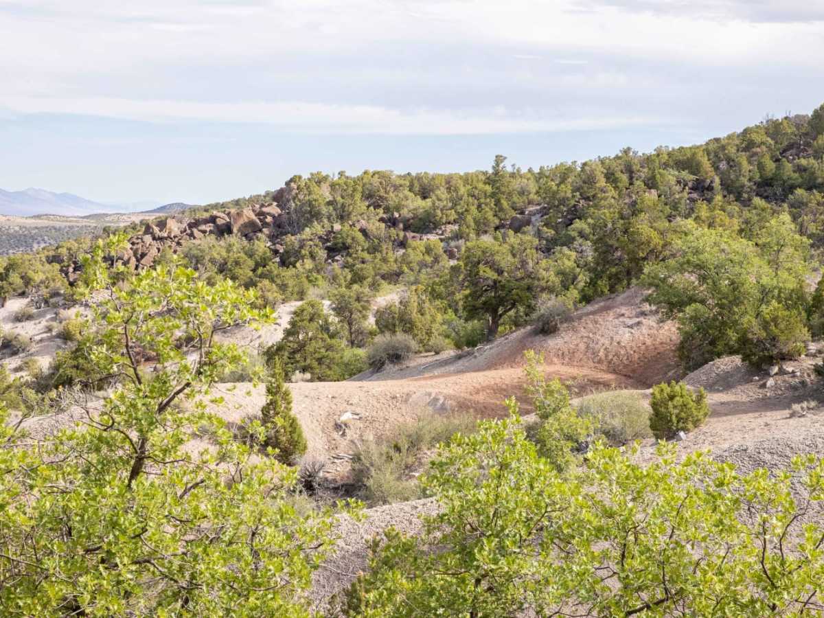Pinenut Flat Trail photo 4
