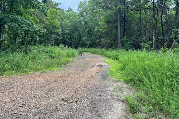 Bigham Road