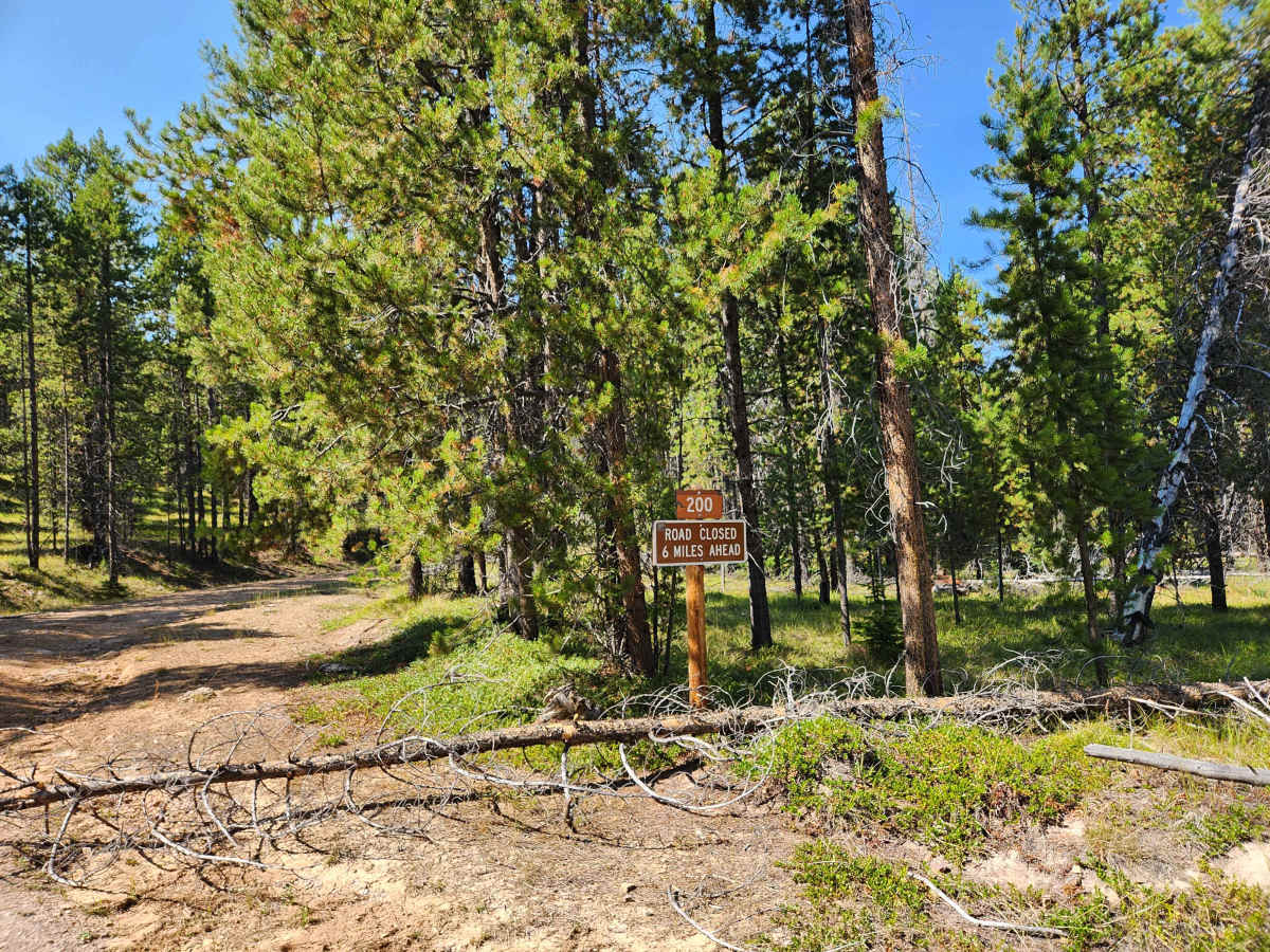 Emerine Trail trail photo