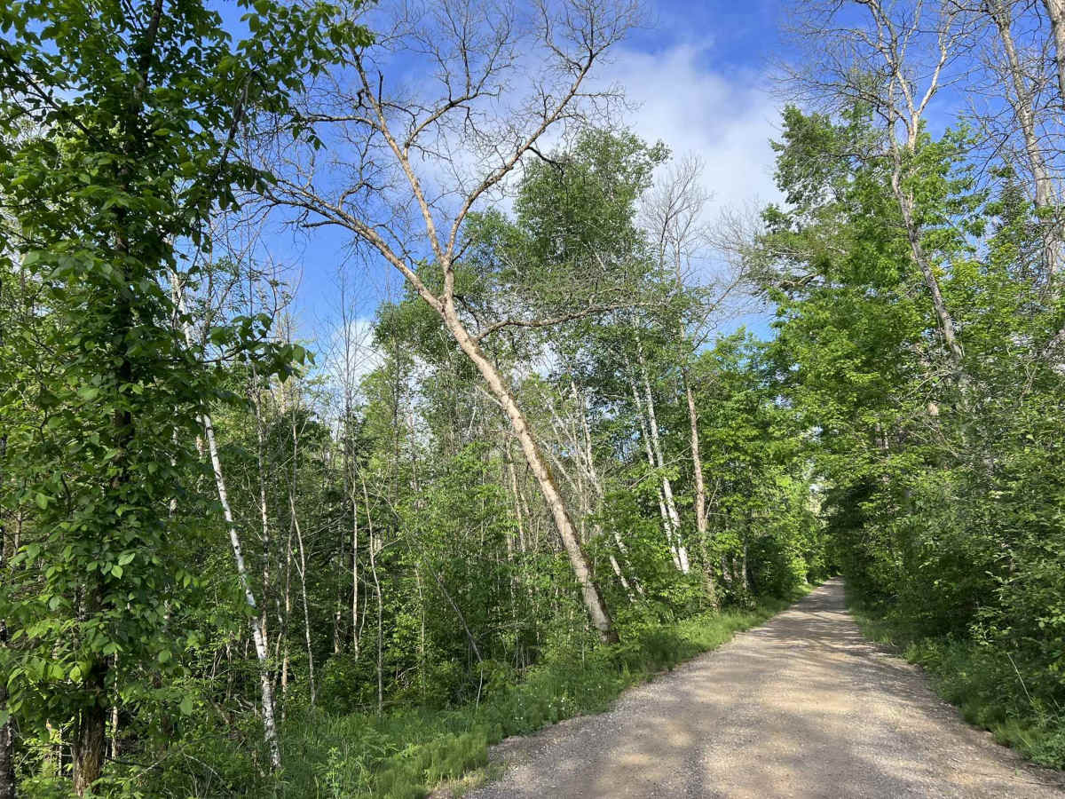 Bonita Road - FS 2112 photo 4