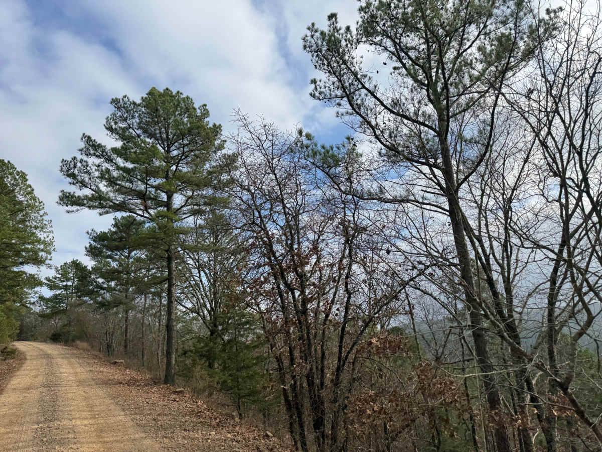 North Fork Road/Trail 86 photo 6
