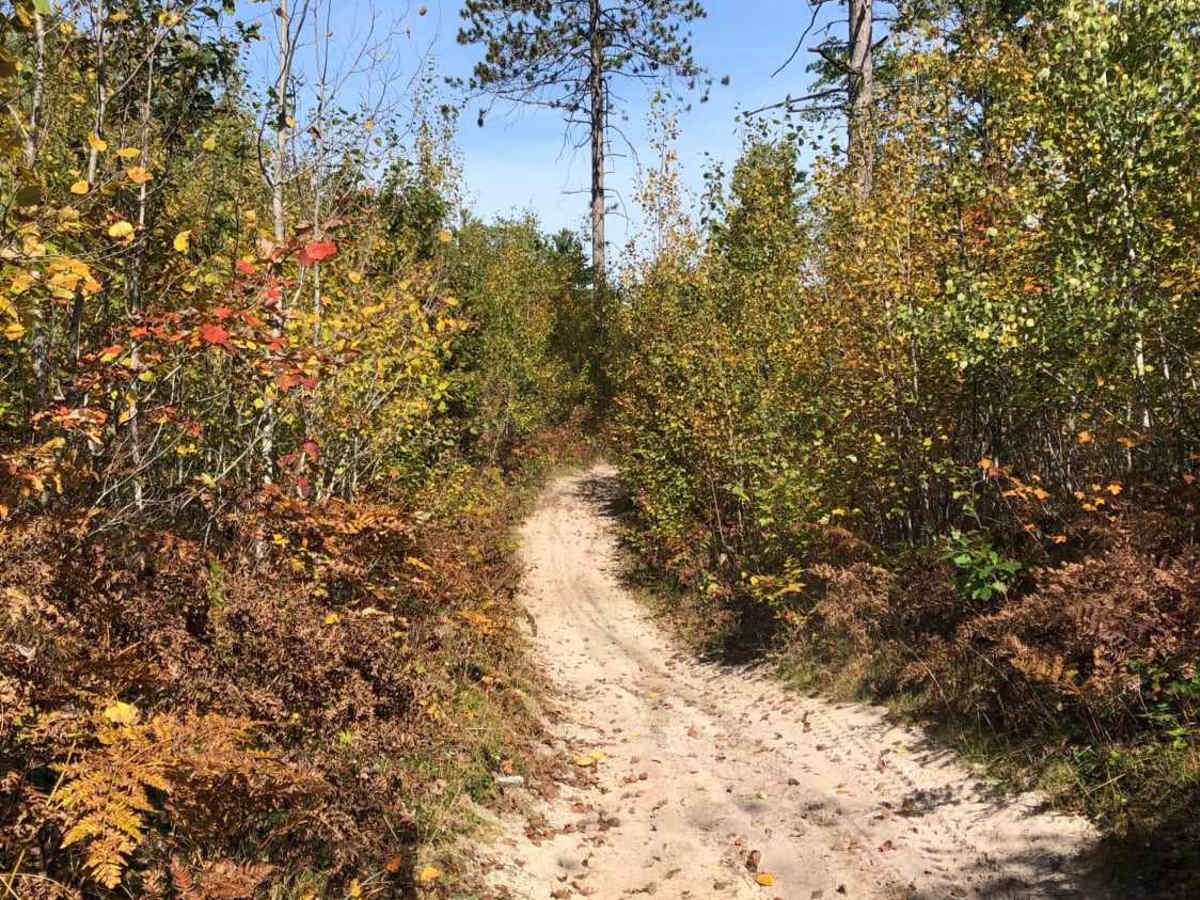 Black Lake North Loop trail photo