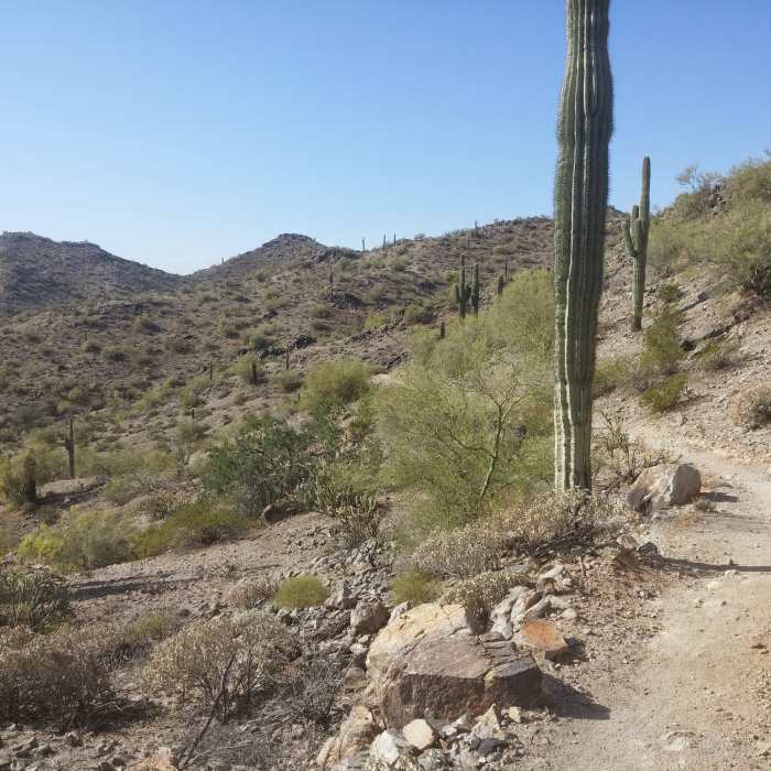 Near Rainbow Valley