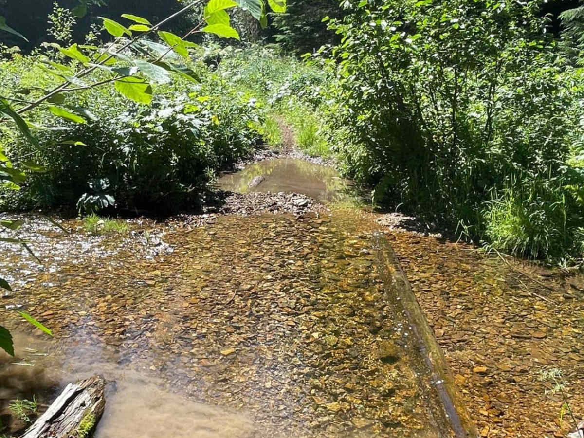 Goose Creek photo 2