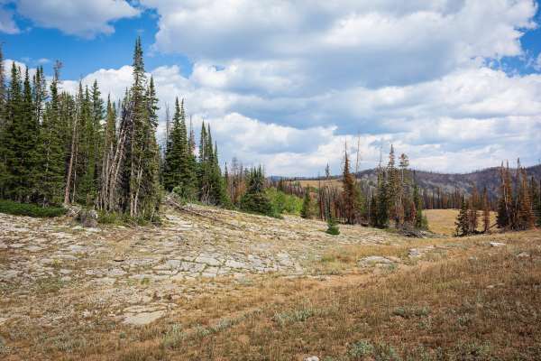 Mill Fork - FS 70580/10318
