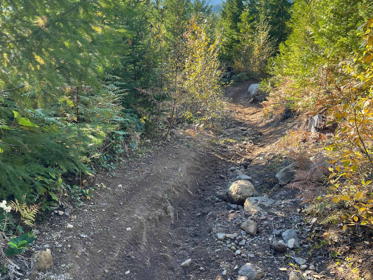Deep Woods photo 4